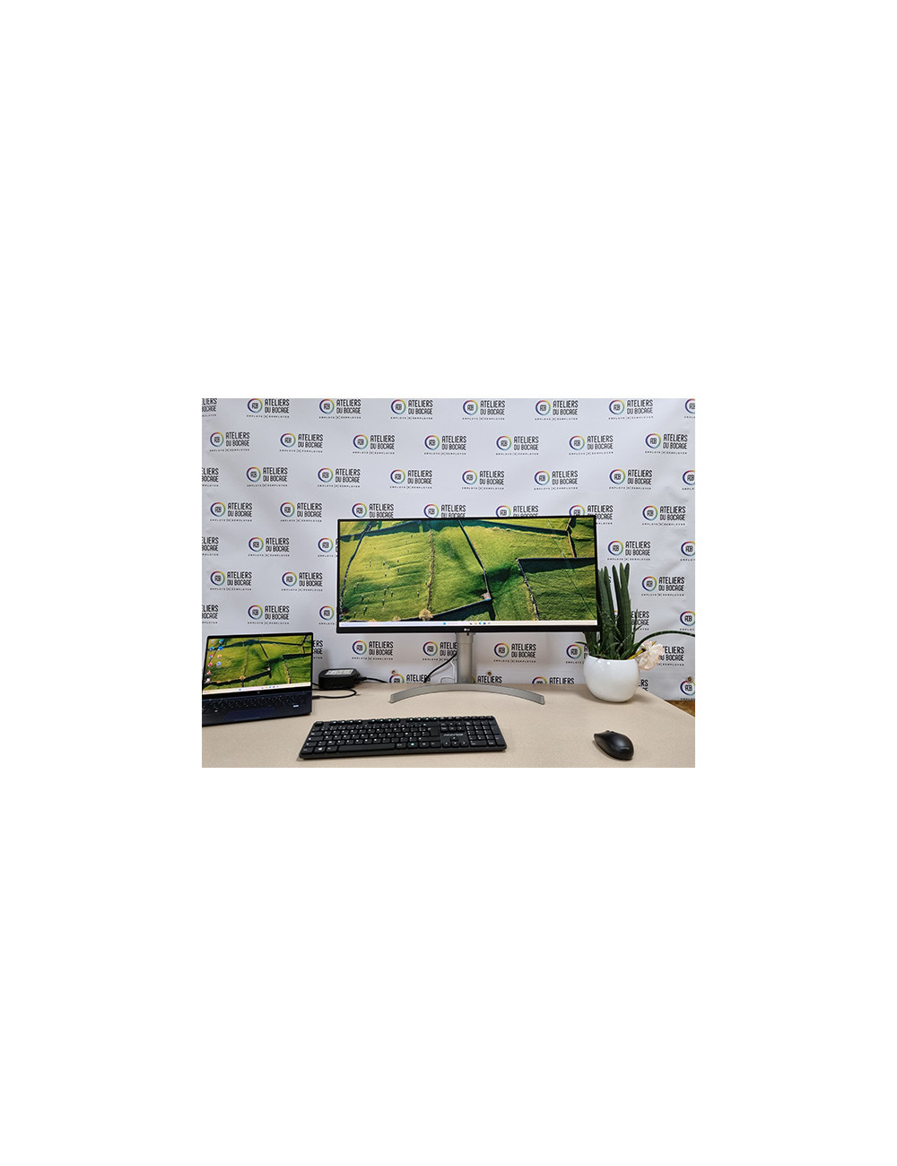 PACK HP EliteBook DragonFly G1 + écran 34 pouces LG 34WN650-W + Station d'accueil