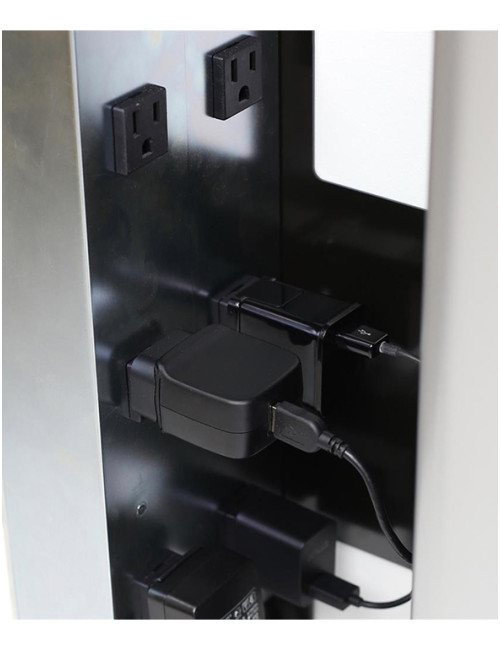Armoire murale de charge Ergotron Zip12