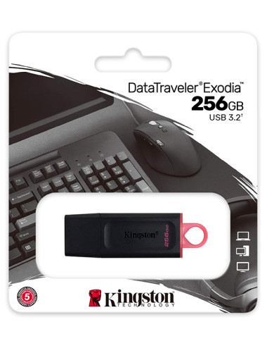 Clé USB Kingston  3.2 - 256 GB