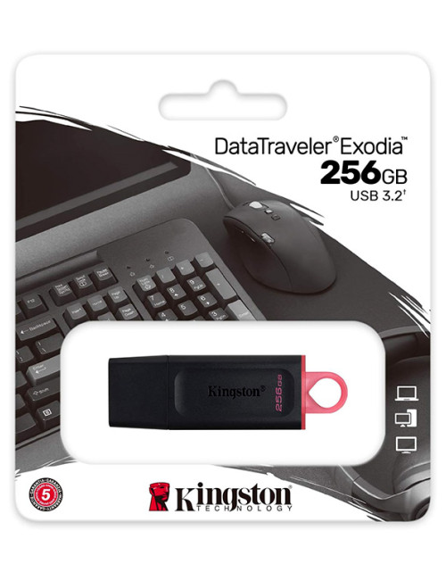 Clé USB Kingston  3.2 - 256 GB