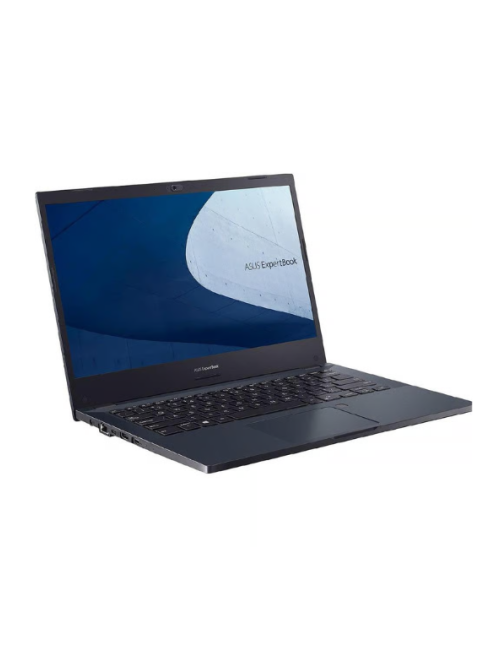 Asus ExpertBook P2451FA - Core i3-10110U